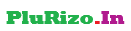 plurizo.in